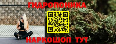 трава Северобайкальск