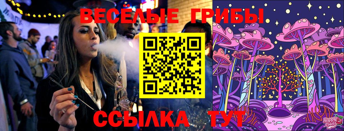 Галлюциногенные грибы Psilocybe  Вход с VPN  сколько стоит  Сосновый Бор 